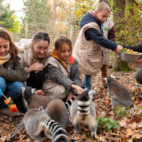 Soigneur d'un jour au Wow Safari Peaugres