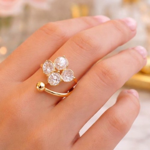 Bague en acier inoxydable