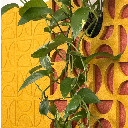 Tableau végétal & acoustique en 40x40 cm