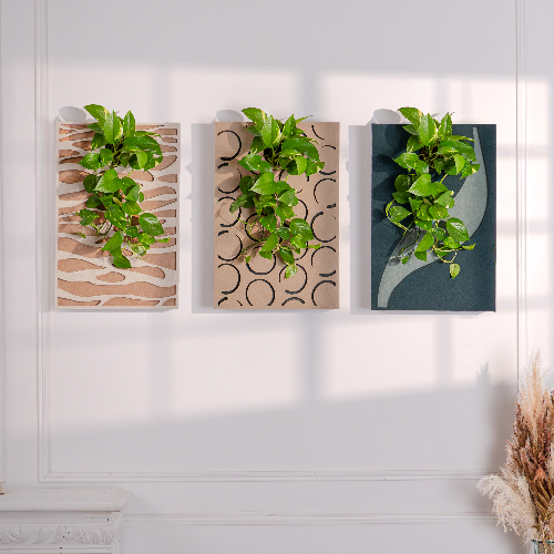 Tableau végétal & acoustique en 60x40 cm