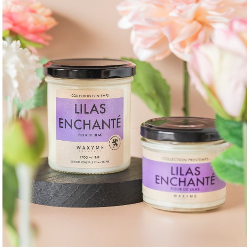 Lilas Enchanté