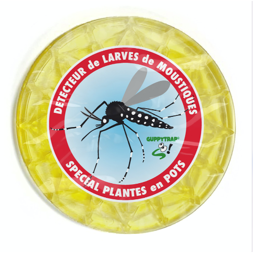 Piège à larves de moustiques GUPPYTRAP