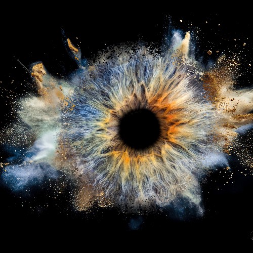 Photographie d’Iris