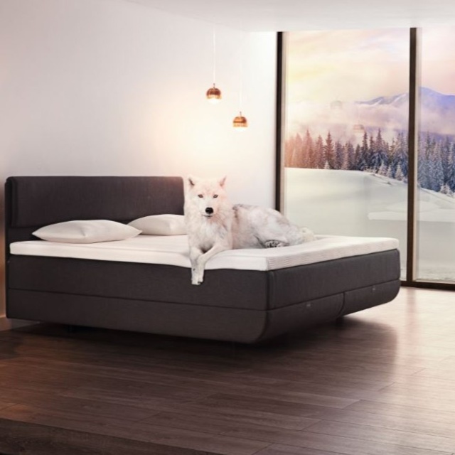 Lit de relaxation électrique TEMPUR North Bed