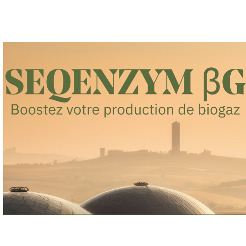 SEQENZYM βG