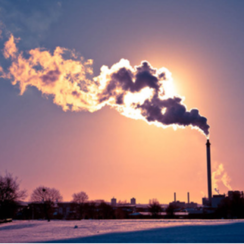 Analyse de carbone bioègne