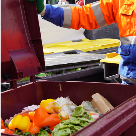 Expertise déconditionnement