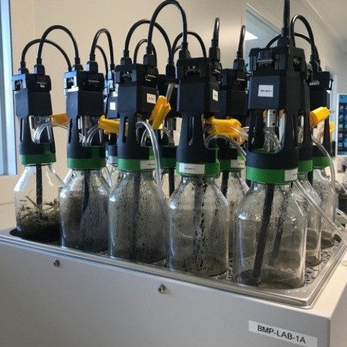 Augmentation de la capacité des tests BMP au sein du laboratoire