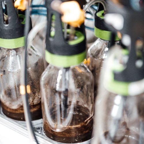 Augmentation de la capacité des tests BMP au sein du laboratoire