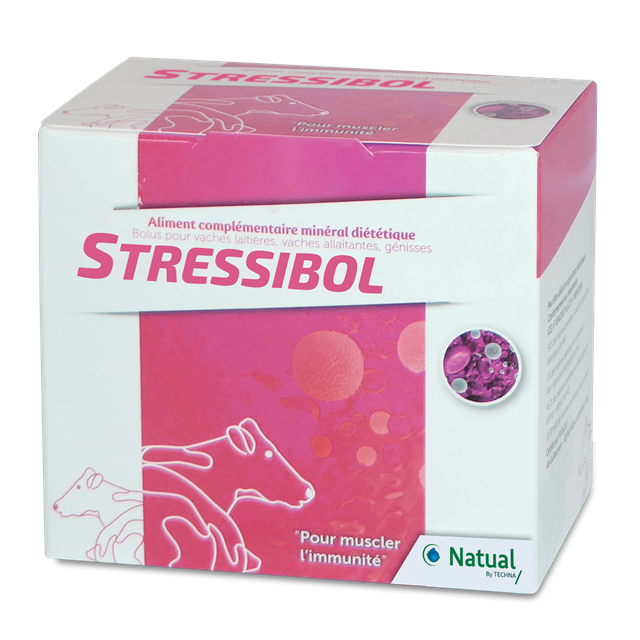 STRESSIBOL