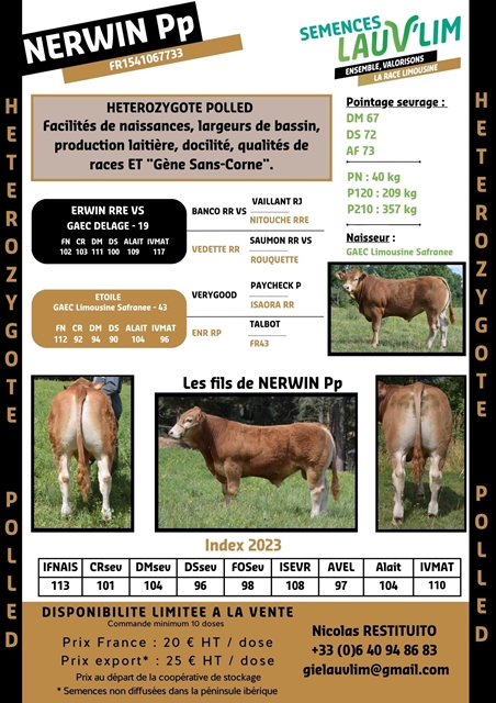 NERWIN Pp - HETEROZYGOTE POLLED - SEMENCES LAUV'LIM