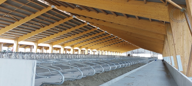 Bâtiments  à charpentes en bois lamellé-collé