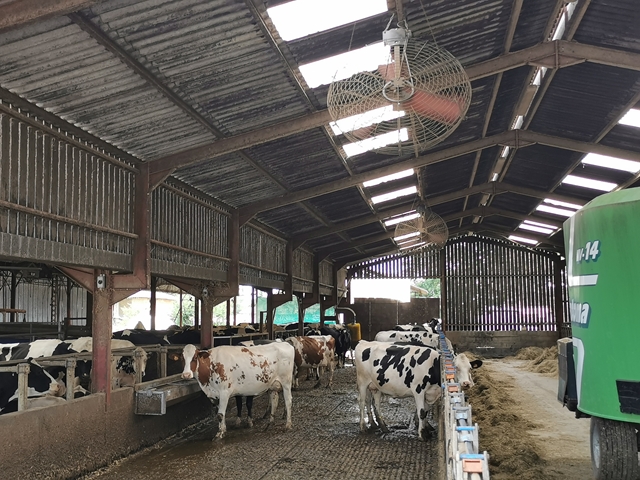 Ventilateur pour bovins - SKIOLD Dairy Fan