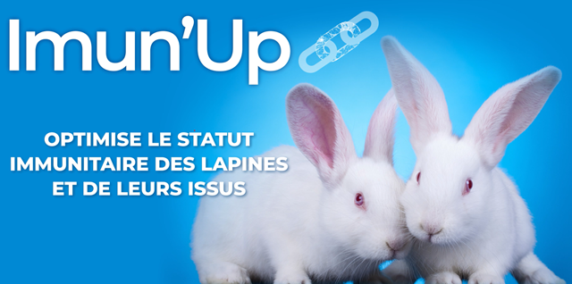 Imun'up lapin