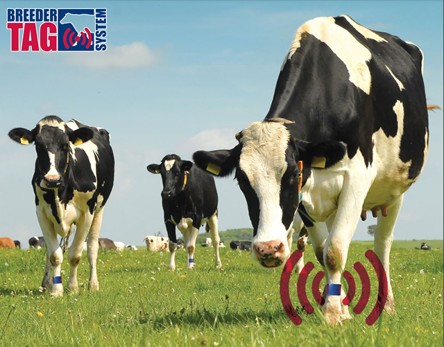 Breeder Tag System