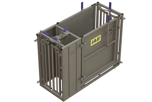 CAISSE D’IMMOBILISATION POUR LES MOUTONS