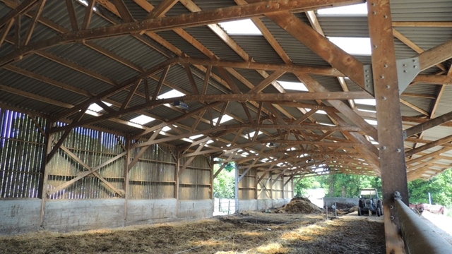 Stabulation vaches laitières en bois (kit)