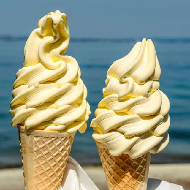 Machine à Glace à l'Italienne pour valoriser son lait X 100