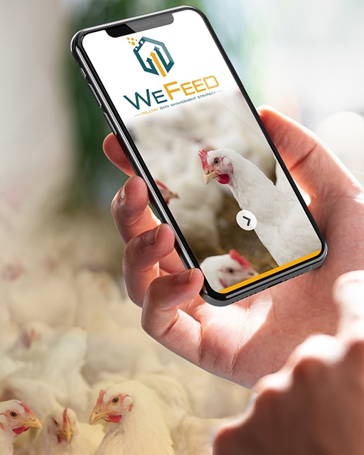 Wefeed Volaille