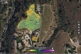 L’imagerie aérienne au service de la santé du vignoble