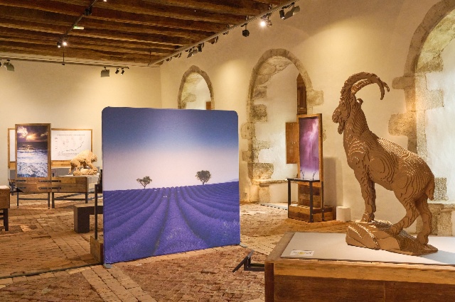 Retrouvez le Museum d'Histoire Naturelle de Toulouse au Pavillon des Expositions Itinérantes