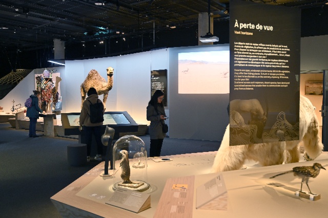 Retrouvez le Muséum national d'Histoire naturelle de Paris au Pavillon des Expositions Itinérantes