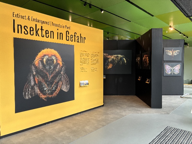 Retrouvez le American Museum of Natural History au Pavillon des Expositions Itinérantes
