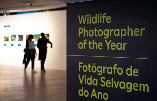 Retrouvez le Natural History Museum London au Pavillon des Expositions Itinérantes