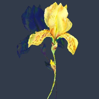 Spring-Summer 27 Decodings: Designs