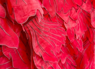 Bella Tela Ltd — Illuminé: The Art of Light in Couture Fabric Design