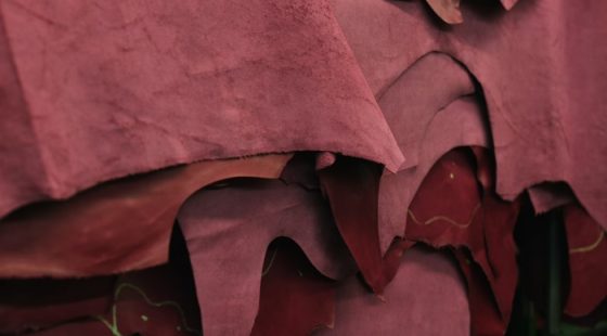 Environmental management: traceability and safety at the heart of the leather industry
