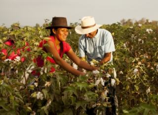Peru: Between Textile Tradition and Responsible Innovation