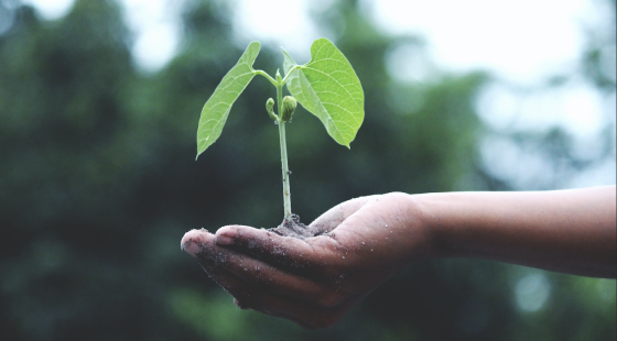 Smart Key: How can we design sustainably?