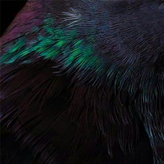 AW 26-27 Color Range Preview: Darks