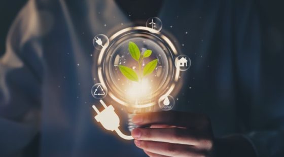 Smart Key: Environmental management—catalyzing the leather industry’s shift to sustainability