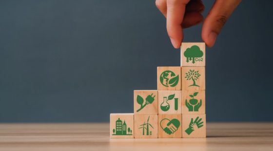 Today’s eco-question: What are the principles of environmental labelling?