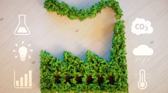 Today’s eco question: What are the criteria for evaluating responsible production?