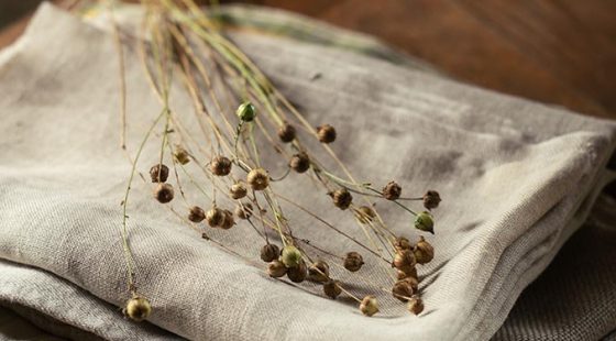 Today’s eco-question: Will linen replace cotton?