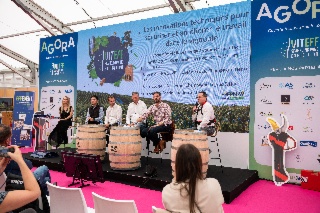 Technical innovations to secure and improve work in the vineyard