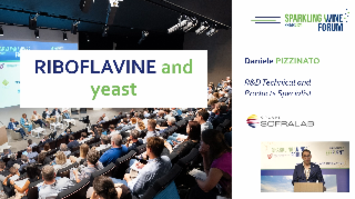 Riboflavin: Results of the latest characterisation work on yeast strains to limit Riboflavin levels