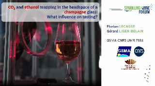 CO2 and ethanol mapping in the headspace of a glass of champagne: what influence on tasting?
