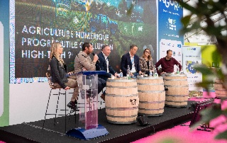 The Contribution of Digital Technology to Precision Viticulture