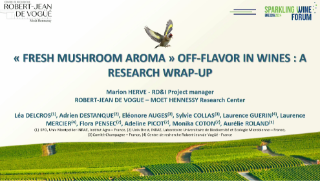 Scientific research on Fresh Mushroom Aromas in sparkling wines