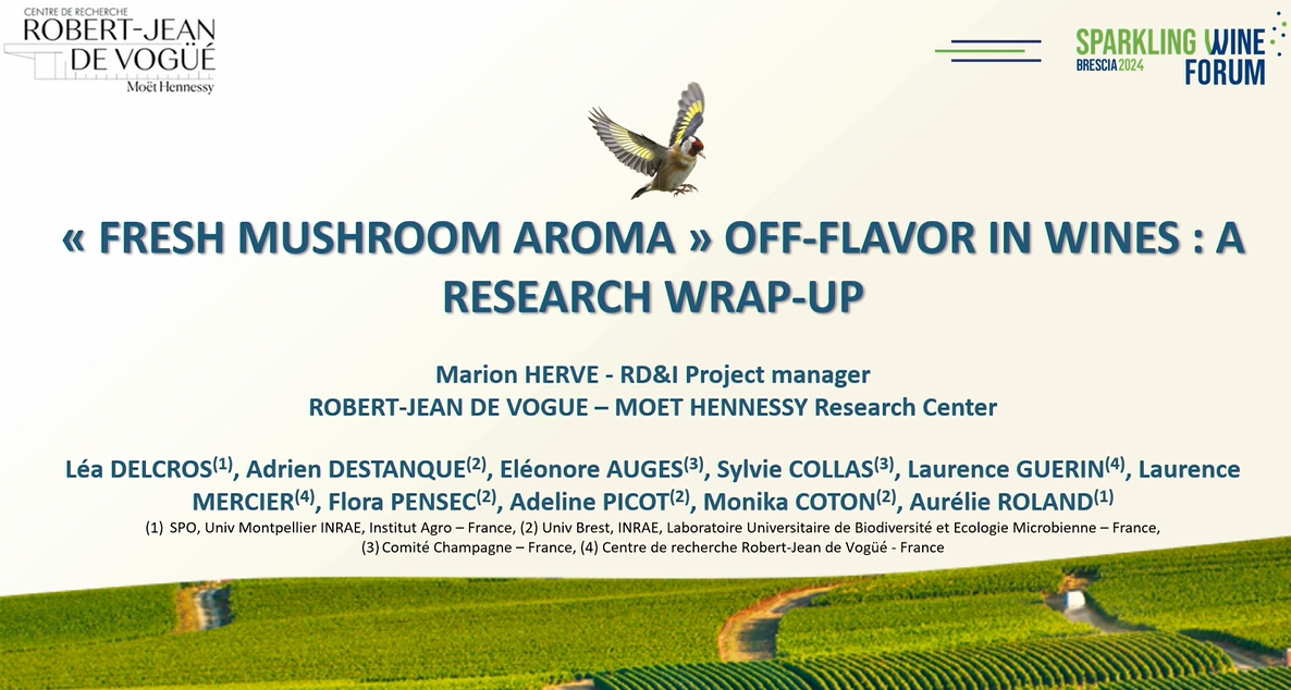 [SWF24] Scientific research on Fresh Mushroom Aromas in sparkling wines