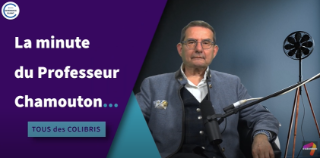 Tous des Colibris – La Minute du Professeur