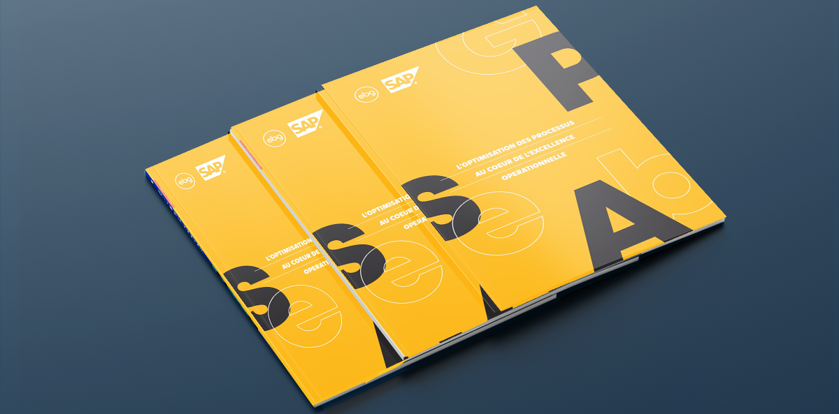 L'optimisation des processus au cœur de l'excellence opérationnelle  (Task Force)