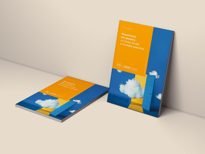 Gouvernance des données : principaux écueils et stratégies gagnantes (Livre Blanc)