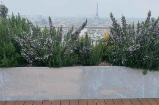 La MNT rejoint le siège de MGEN : le groupe Vyv poursuit la rationalisation de son immobilier parisien