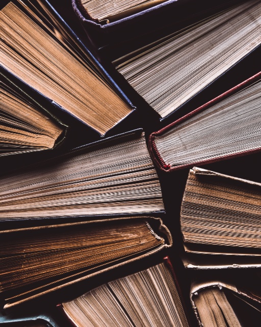 TOP 8 des librairies indépendantes en Auvergne en 2025