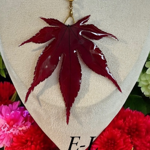 Feuille Érable du Japon